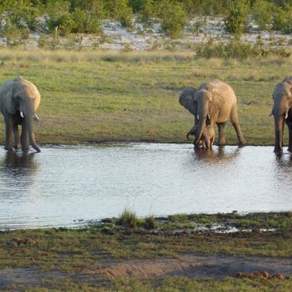 Voyage au Zimbabwe de Jean-Luc D.