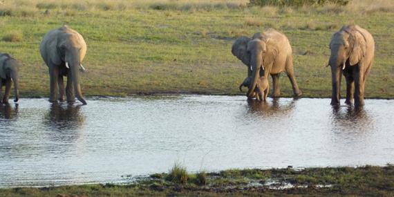 Voyage au Zimbabwe de Jean-Luc D.