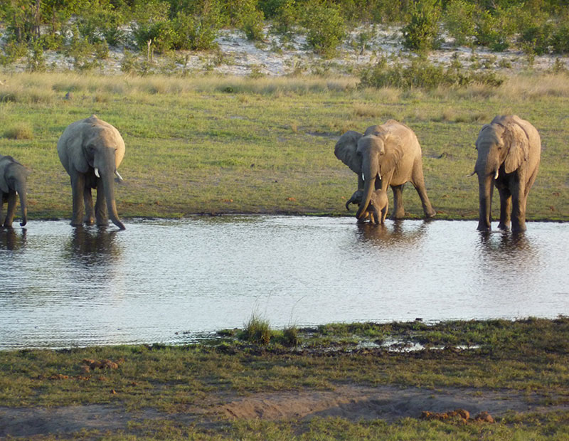 Voyage au Zimbabwe de Jean-Luc D.