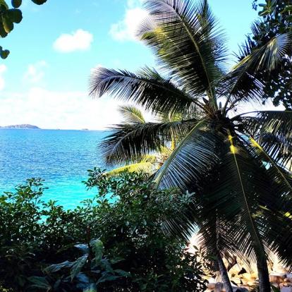 Voyage Aux Seychelles De Marianne Voyage aux Seychelles de Marianne Z.