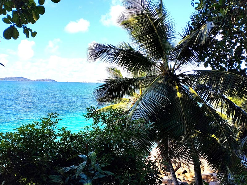 Voyage aux Seychelles de Marianne Voyage aux Seychelles de Marianne Z.