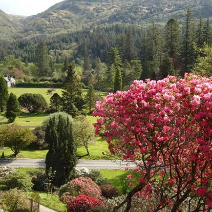 Voyage en Ecosse de Michel L.