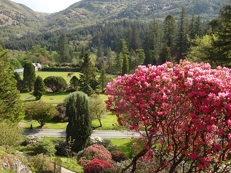 Voyage en Ecosse de Michel L.