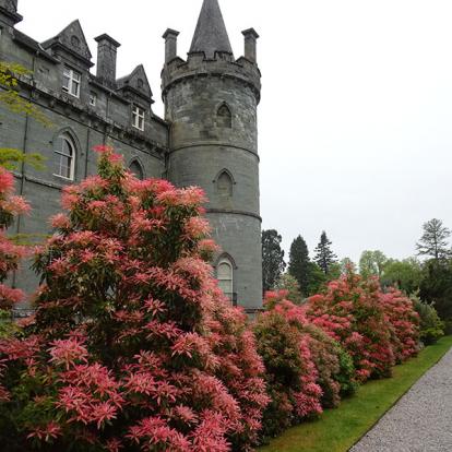 Voyage en Ecosse de Michel L.