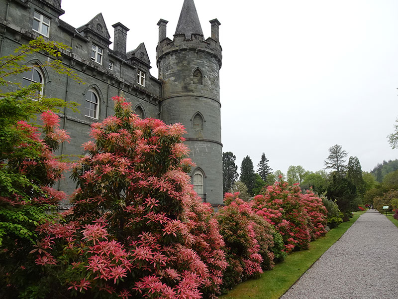 Voyage en Ecosse de Michel L.