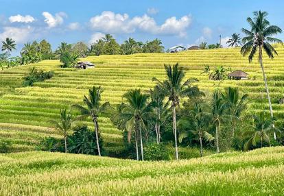 Voyage en Indonésie de Sabine K.