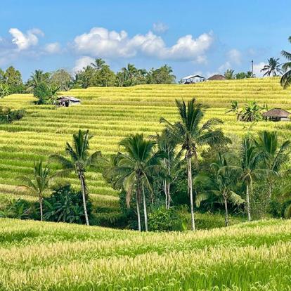 Voyage en Indonésie de Sabine K.