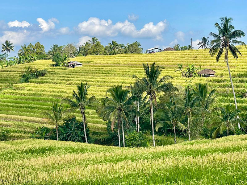 Voyage en Indonésie de Sabine K.