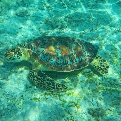 Voyage en Indonésie de Sabine K.