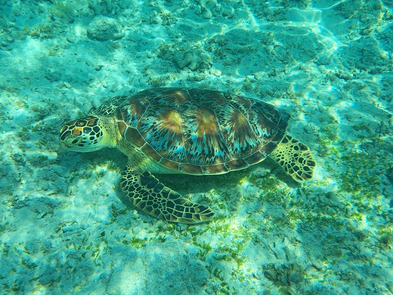 Voyage en Indonésie de Sabine K.