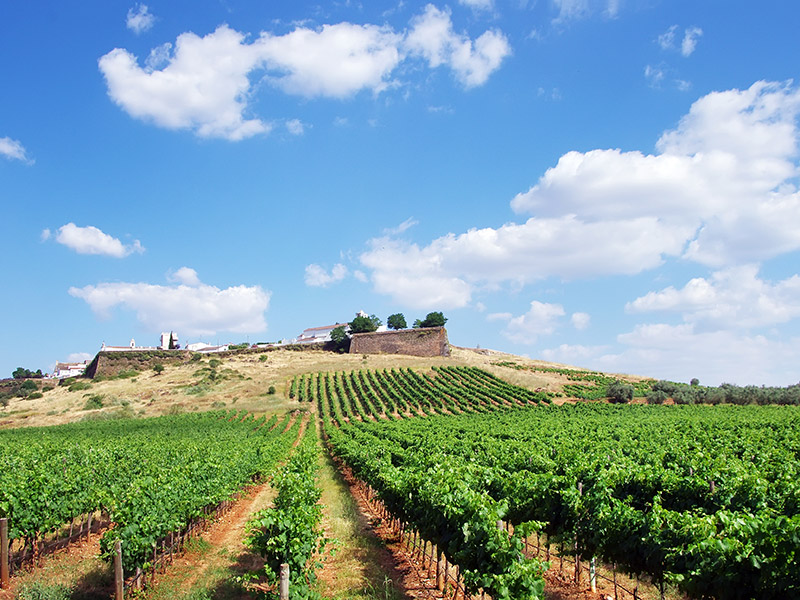 Estremoz Voyage au Portugal de Jean V.