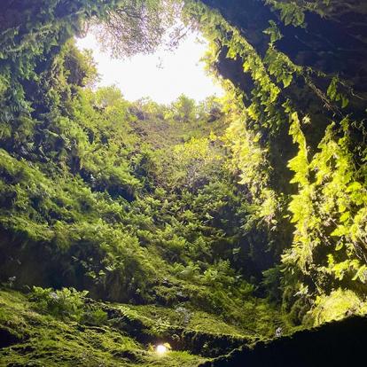 Voyage aux Açores de David et Ghyslaine
