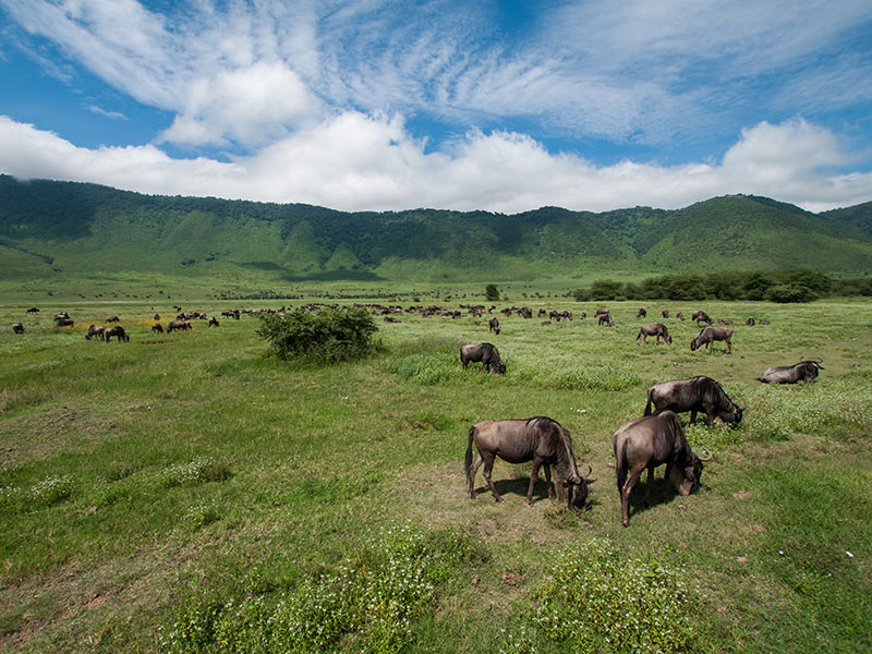 Voyage en Tanzanie de Marie B.