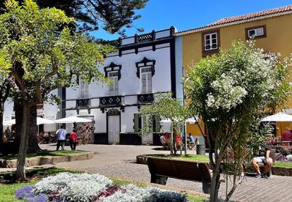 Voyages aux Iles Canaries de Fanny L.