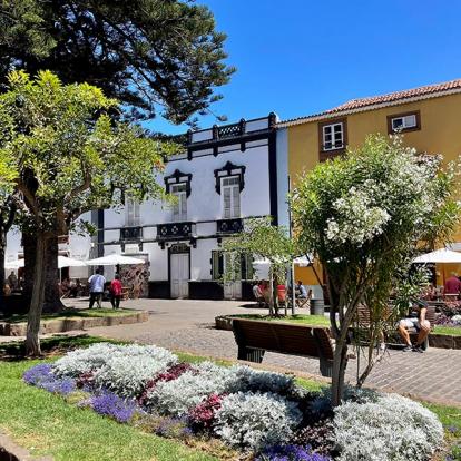 Iles Canaries Voyages aux Iles Canaries de Fanny L.