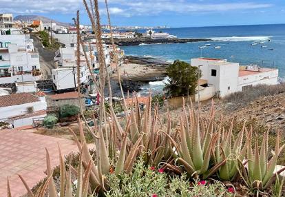 Voyages aux Iles Canaries de Fanny L.