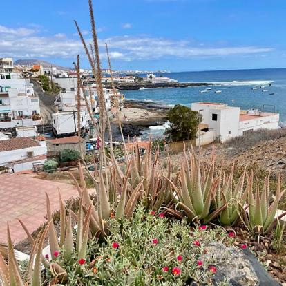 Iles Canaries Voyages aux Iles Canaries de Fanny L.