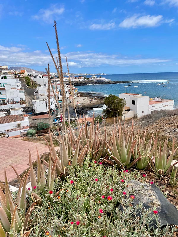 Iles Canaries Voyages aux Iles Canaries de Fanny L.