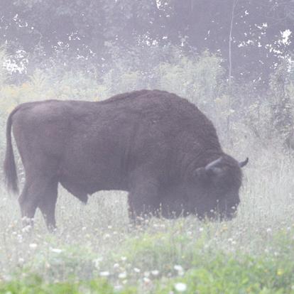 Voyage en Pologne de Sabine G.