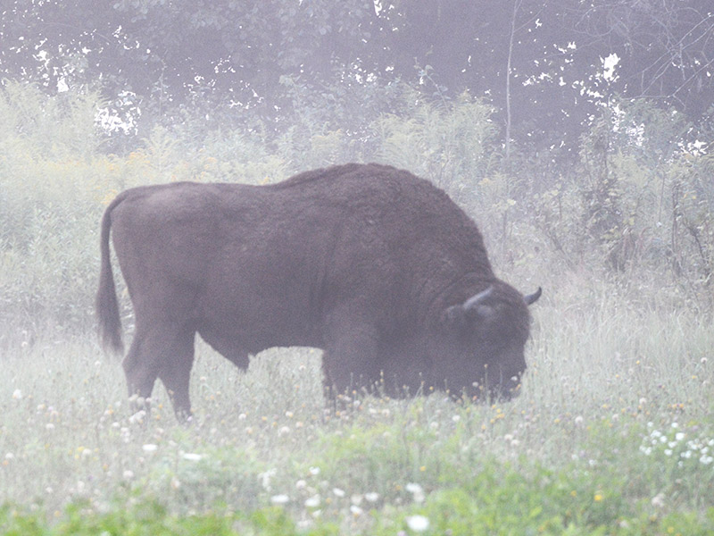 Voyage en Pologne de Sabine G.