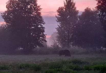 Voyage en Pologne de Sabine G.