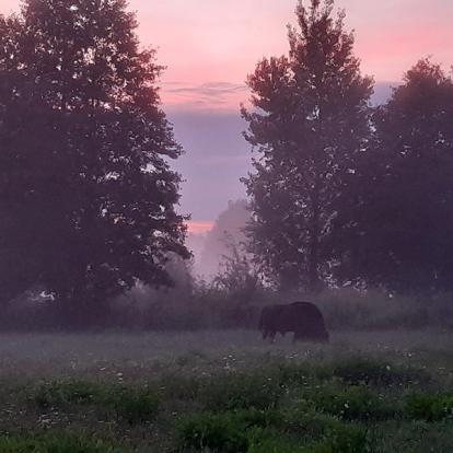 Voyage en Pologne de Sabine G.