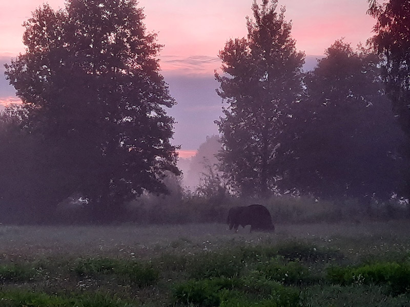Voyage en Pologne de Sabine G.