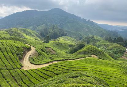 Voyage en Malaisie de Maylin N.