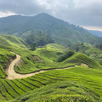 Voyage en Malaisie de Maylin N.