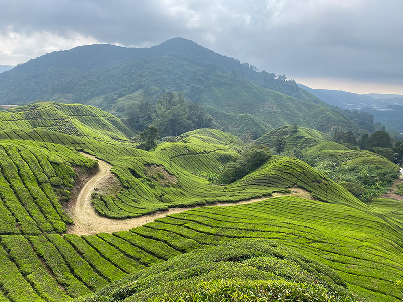 Voyage en Malaisie de Maylin N.