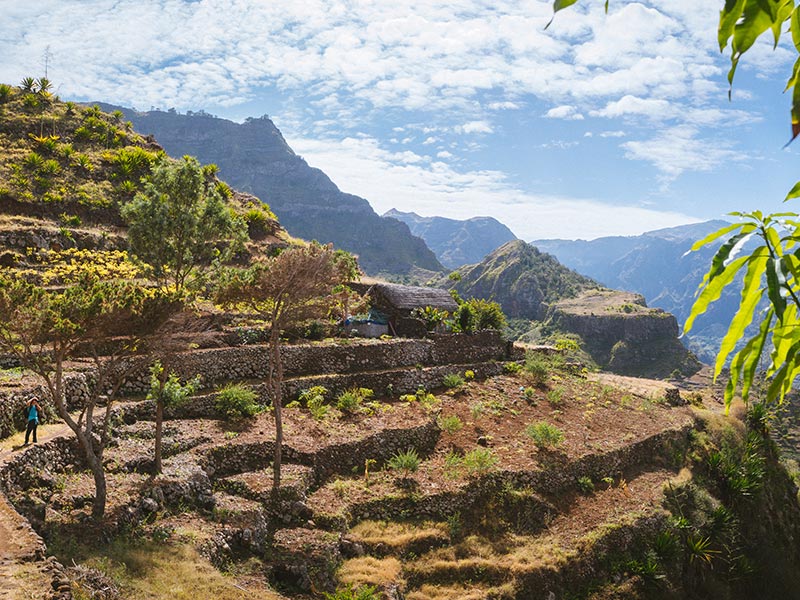 Voyage au Cap Vert de Sophie L.