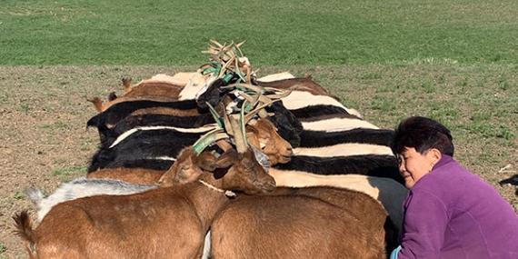 Voyage en Mongolie de Beatriz & Bertrand