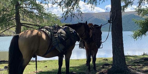 Voyage en Mongolie de Beatriz & Bertrand