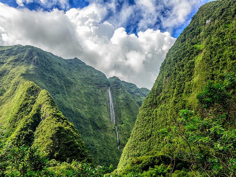Voyage à la Réunion de Robert L.