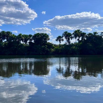 Voyage au Brésil de Dalila A.