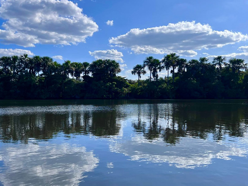 Voyage au Brésil de Dalila A.