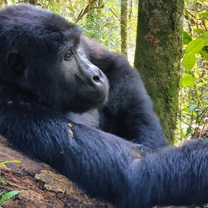 Voyage au Rwanda de Georges D.