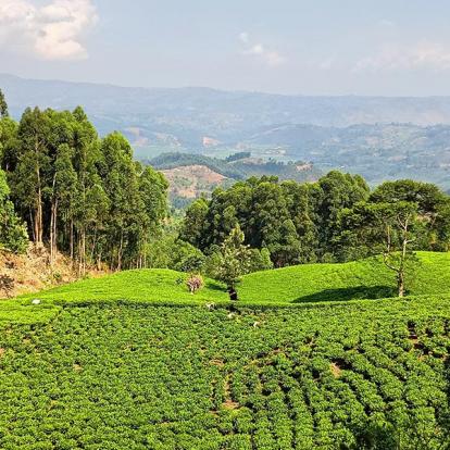 Voyage au Rwanda de Georges D.