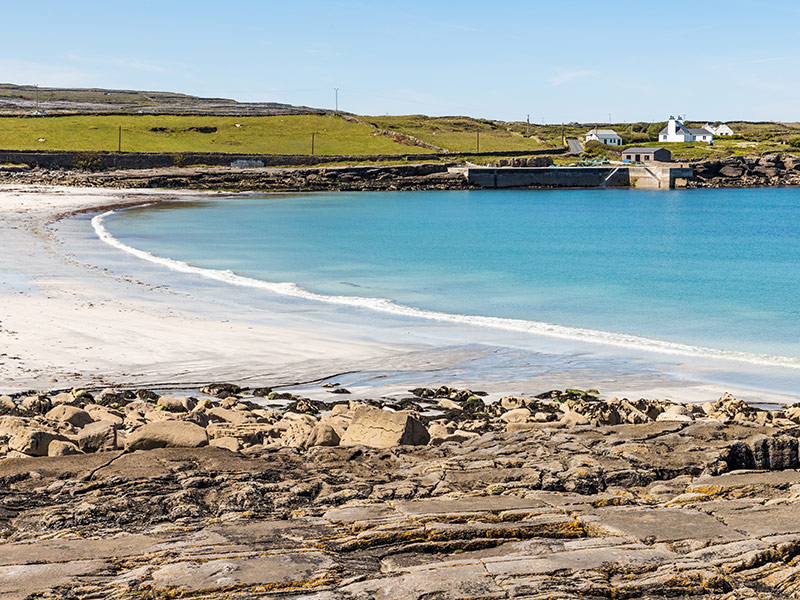 Voyage en Irlande de Dominique A