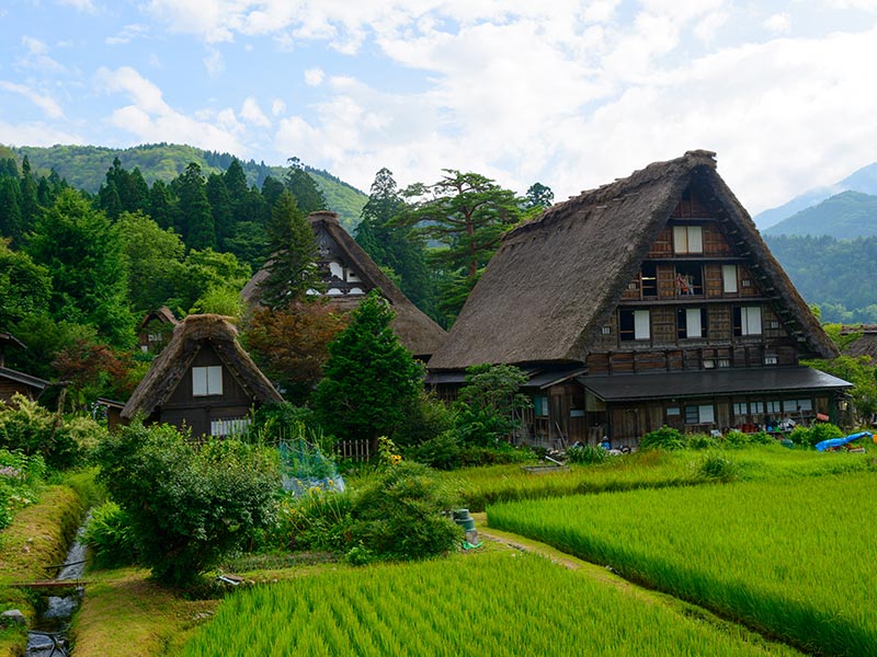 Voyage au Japon de Garance C.