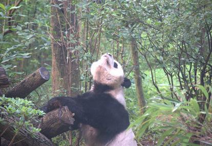 Voyage en Chine de Pascal M.