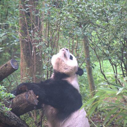 Voyage en Chine de Pascal M.