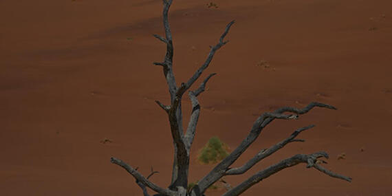 Voyage en Namibie du groupe de François M.