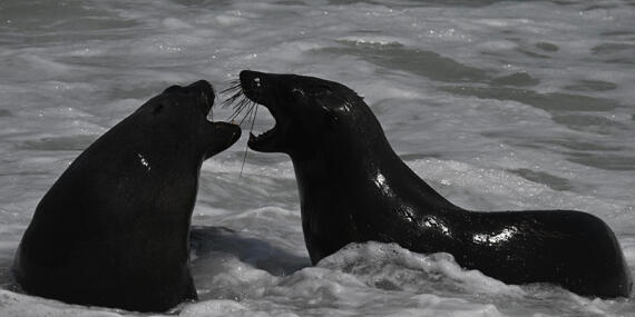 Voyage en Namibie du groupe de François M.