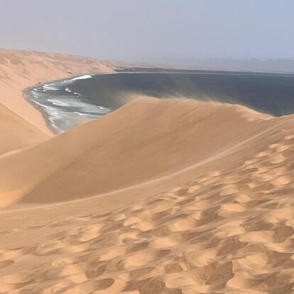 Le Désert Tombe Dans L'océan! Voyage en Namibie du groupe de François M.