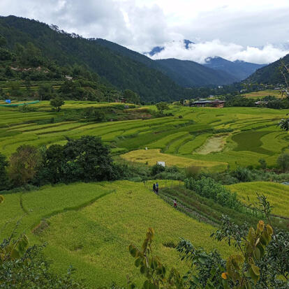 Voyage au Bhoutan de Natalie S.