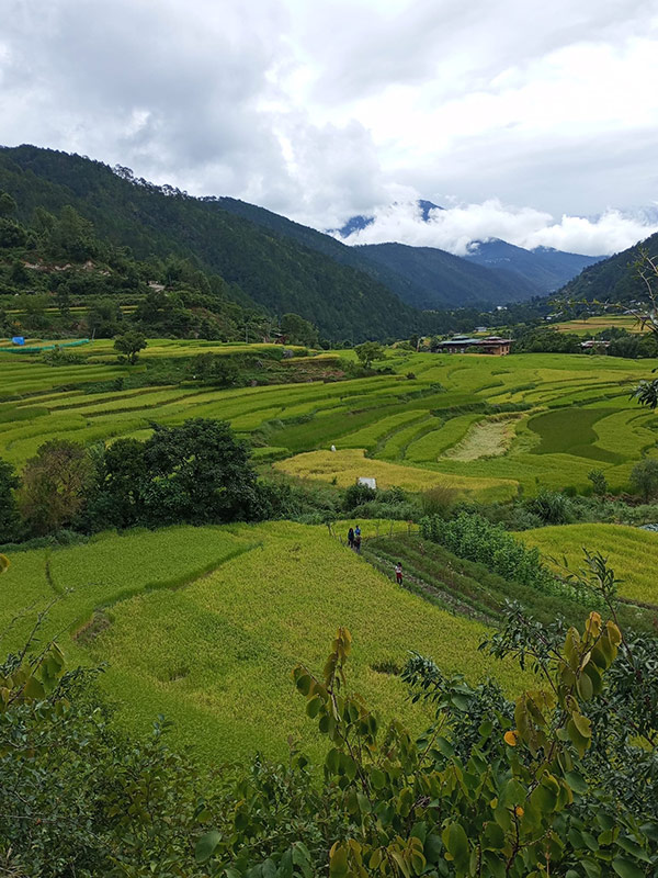 Voyage au Bhoutan de Natalie S.