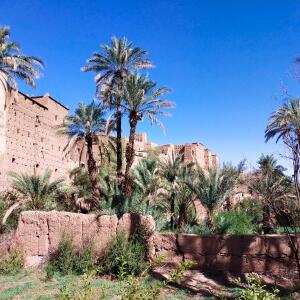 Voyage Au Maroc De François Voyage au Maroc de François D.