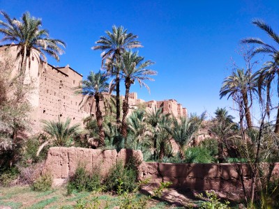 Voyage au Maroc de François Voyage au Maroc de François D.