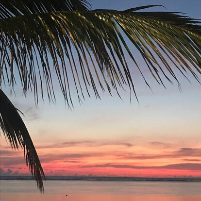 Voyage à l'Ile de la Réunion d'Eric V